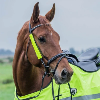 Afbeelding van HOOFDSTEL/TEUGEL COVER
