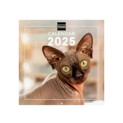 Afbeelding van Finocam Kalender met afbeeldingen wandformaat internationaal 2025 maandweergave januari december (12 maanden) Cats