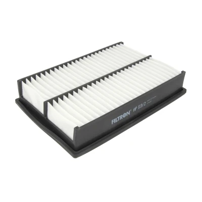 Afbeelding van Filtron Luchtfilter AP 113/2