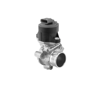 Afbeelding van Wahler EGR klep 710795D
