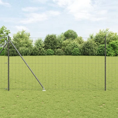 Afbeelding van vidaXL Euro Hek met 7 spike posten 1.6x10 m verzinkt staal grijs