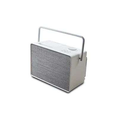 Afbeelding van Pure 00 12120 draagbare luidspreker Mono draadloze Grijs 40 W