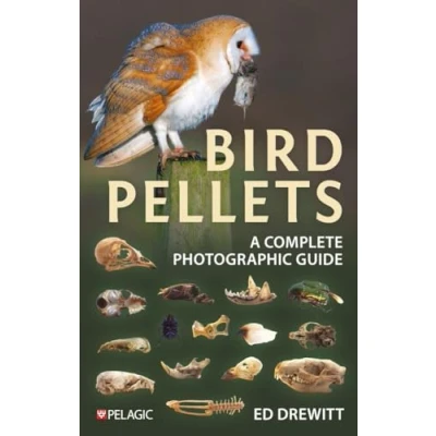 Afbeelding van Bird Pellets: A Complete Photographic Guide