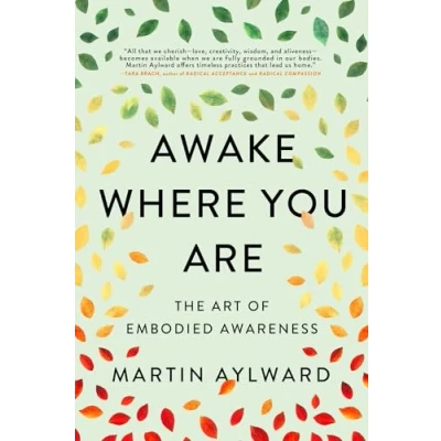 Afbeelding van Awake Where You Are: The Art of Embodied Awareness