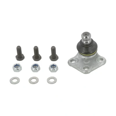 Afbeelding van Moog Fuseekogel RE BJ 7432