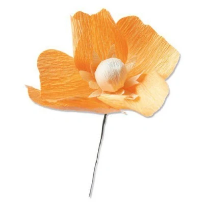 Afbeelding van Sizzix Thinlits Die Set California Poppy 5PK 664921 Lisa Jones (05 21)