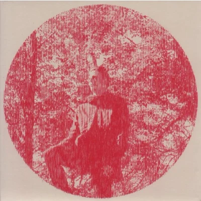 Afbeelding van Owen Pallett Heartland (2 LPs)