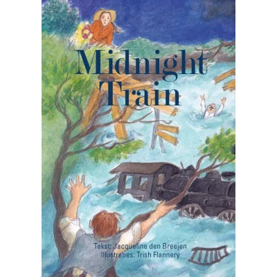Afbeelding van Midnight train
