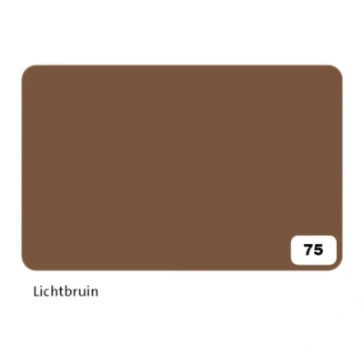 Afbeelding van Fotokarton Folia 2zijdig 50x70cm 300gr nr75 lichtbruin Omdoos a 10 stuk stuks