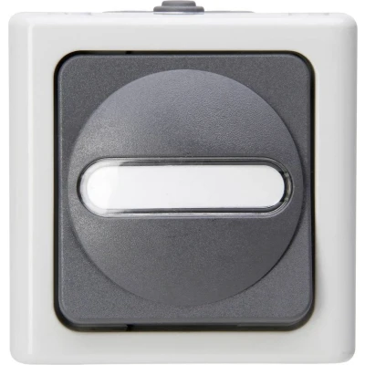 Afbeelding van Kopp 560656006 BlueElectric Compleet Uitschakelaar, Wisselschakelaar spatwaterdicht Grijs 1 stuks
