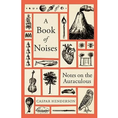 Afbeelding van A book of noises: notes on the auraculous