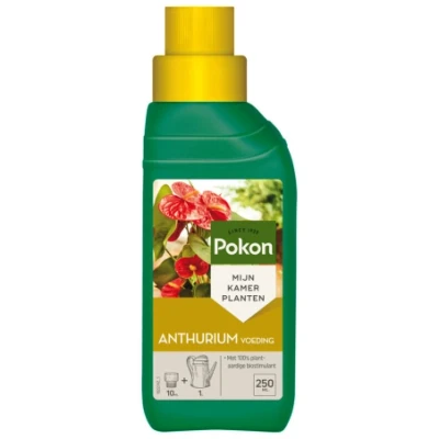 Afbeelding van Anthurium voeding 250 ml