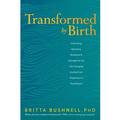 Afbeelding van Transformed by Birth: Cultivating Openness, Resilience, and Strength for the Life Changing Journey from Pregnancy to Parenthood