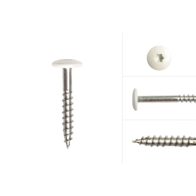 Afbeelding van Kleurkopschroeven Wit rvs 4.8 x 32 mm Doos 100 Stuks