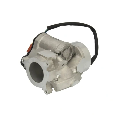 Afbeelding van Wahler EGR klep 710974D