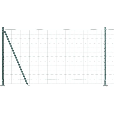 Afbeelding van vidaXL Euro Fence Set van 2 Groen Metaal 10 x 1,2 m Duurzaam