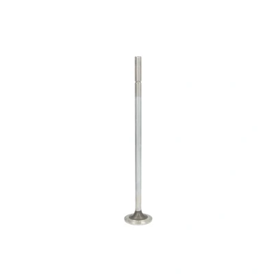 Afbeelding van TRW Engine Component Inlaatklep 162160