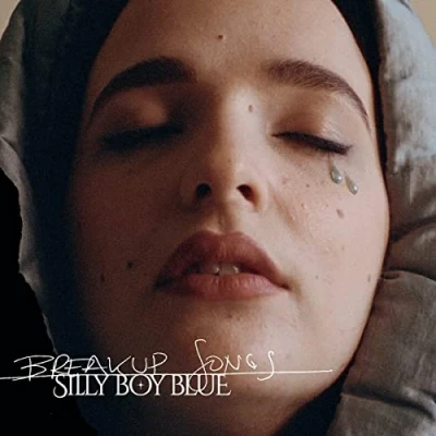 Afbeelding van Silly Boy Blue Breakup Songs