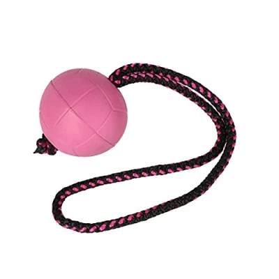 Afbeelding van Dingo Balll BIBI voor training # 70 met handvat 30 cm kleur bessen drijvende bal rubber apport spel hond 17251