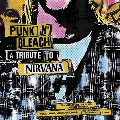 Afbeelding van Various Artists Punk &#039;n&#039; Bleach: A Tribute to Nirvana (LP) (Coloured Vinyl)