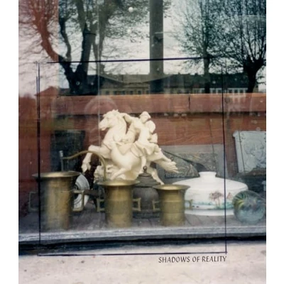 Afbeelding van Shadows of Reality: A Catalogue W.G. Sebald’s Photographic Materials