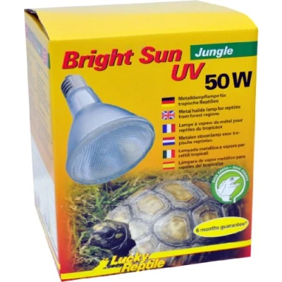 Afbeelding van Lucky Reptile Bright Sun UV Desert Complete Set 50 W metaaldamp lamp inclusief fitting en voorschakelapparaat Reptielen warmtelamp met hittebestendige keramische Terrarium accessoire