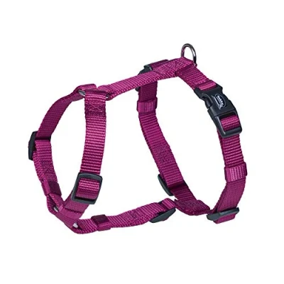 Afbeelding van Nobby tuig classic framboos 50 70 cm