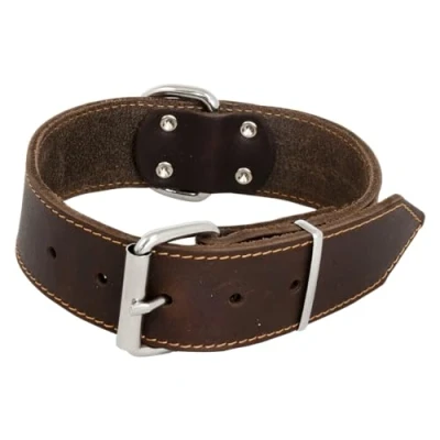 Afbeelding van JACK AND VANILLA, Brede hondenhalsband, model vet leer, kleur bruin, afmetingen 50 mm x 60 cm