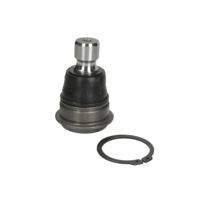 Afbeelding van Moog Fuseekogel NI BJ 4954