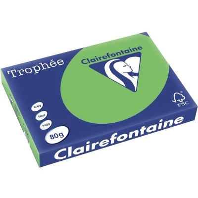 Afbeelding van Clairefontaine Trophée Intens, gekleurd papier, A3, 80 g, 500 vel, muntgroen papier