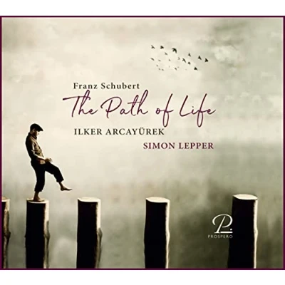 Afbeelding van Ilker Arcayurek Simon Lepper The Path Of Life (CD)