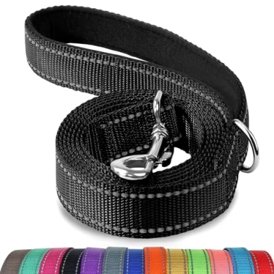 Afbeelding van Joytale Hondenriem met gevoerd handvat, dubbelzijdige reflecterende nylon hondenlijnen voor training, wandelriem kleine, middelgrote honden, 1,8 m x 2 cm, zwart