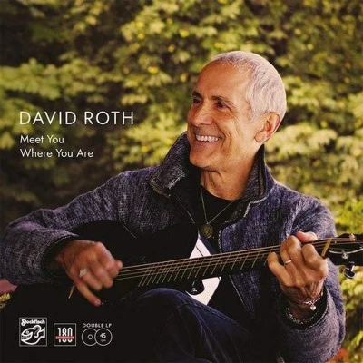 Afbeelding van David Roth Meet Me Where You Are (2 LP)