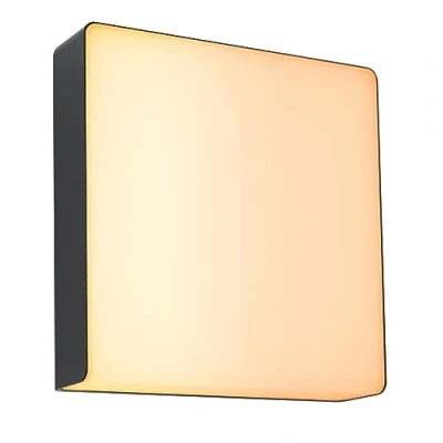 Afbeelding van Paulmann Azalena LED wandlamp met bewegingsmelder voor buiten 8.5 W RGBW