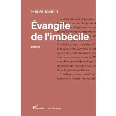 Afbeelding van Evangile de l’imbécile