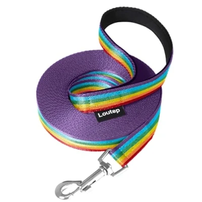 Afbeelding van Loutep Regenboog Training Lood voor Honden 3 m 5 10 15 20 25 30 Sterke Nylon Touw Extra Lange Lijn Hondenriem met Gewatteerde Handvat Grote Medium Kleine Puppy Recall Huisdier Wandelen