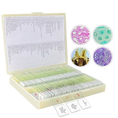 Afbeelding van 100 STKS Voorbereide Microscoop Slides Specimen Dieren Insecten Planten Menselijk Weefsel voor Kinderen Studenten verlichten Onderwijs