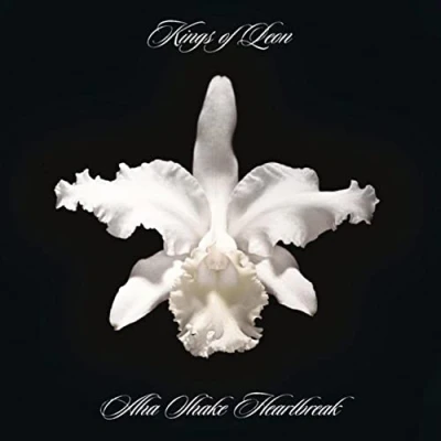Afbeelding van Kings of Leon Aha Shake Heartbreak (2 LPs)
