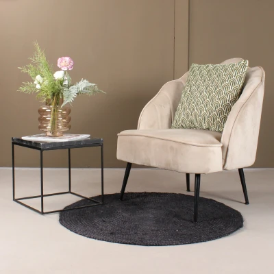 Afbeelding van DS4U Lindsey fauteuil champagne Velvet