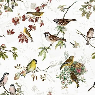 Afbeelding van 20 servetten inheemse vogelsoorten/vogels/dieren/diermotief/lente 33 x cm