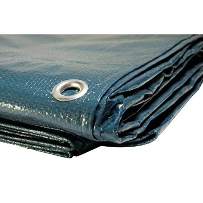 Afbeelding van Houten dekzeil 8 x 12 m TECPLAST SR150BO Blauw en groen Hoge kwaliteit Waterdichte bescherming voor brandhout