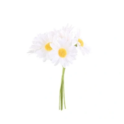 Afbeelding van Decoratie madeliefjes 12cm Spring Daisies (6st)