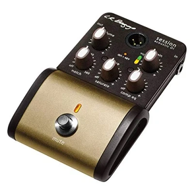Afbeelding van LR Baggs SESSION DI