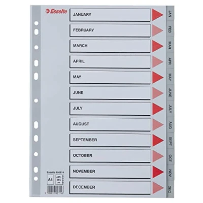 Afbeelding van Esselte, Map accessoires, register PP A4 jan dec (GB) gr