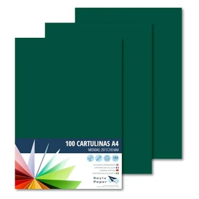 Afbeelding van Raylu Paper® A4 100 stuks junglegroen, 180 g 210 x 297 mm, ideaal voor verband, kantoorwerk, tekenen, knutselen, geschikt school. (junglegroen)