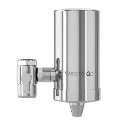 Afbeelding van Waterdrop WD FC 06 Roestvrijstalen Kraanwaterfilter, Koolstofblokwaterfiltratiesysteem, Leidingwaterfilter, Verwijdert Chloor, Zware Metalen en Slechte Smaak (1 Filter Inbegrepen)