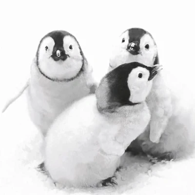Afbeelding van 20 servetten pinguïn vrienden dieren winter Kerstmis tafeldecoratie 33x33cm