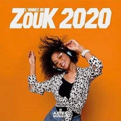 Afbeelding van Various Artists L&#039;annee Du Zouk 2020 (2 CD)