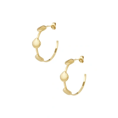 Afbeelding van Bijoutheek Oorknoppen Open Hoop Schelpen Goud