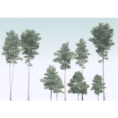 Afbeelding van Komar Raw Pines R4 040